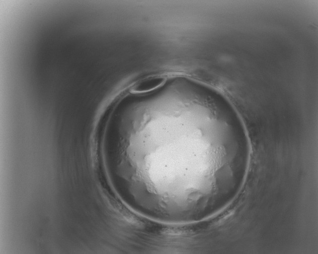 X0000072990343200607290019