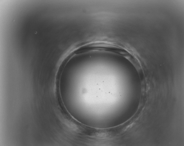 X0000072990344200607290019