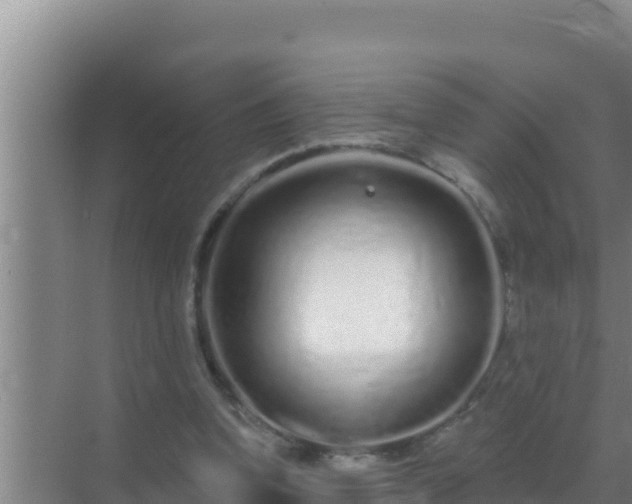 X0000072990346200607290019