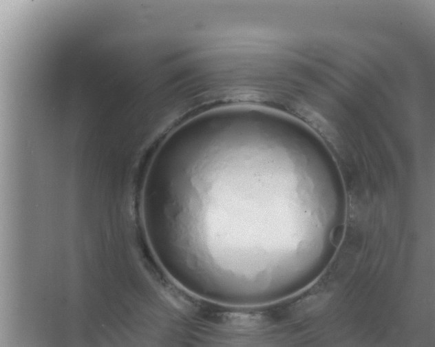 X0000072990347200607290019