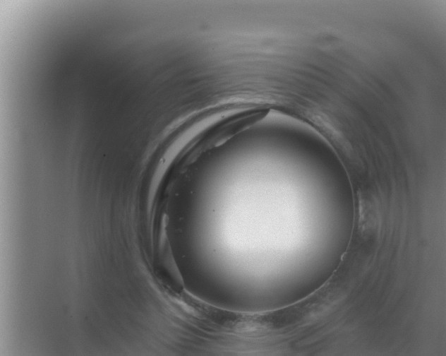 X0000072990348200607290019