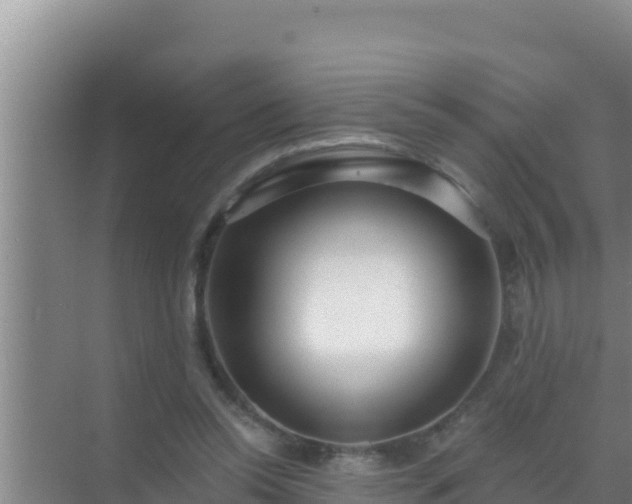 X0000072990350200607290019