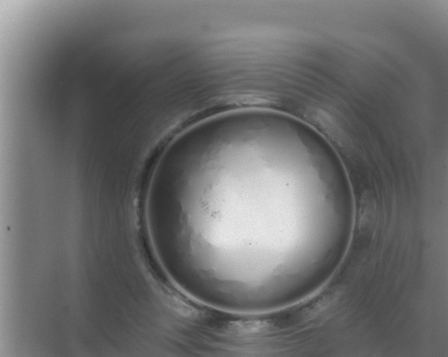 X0000072990351200607290019