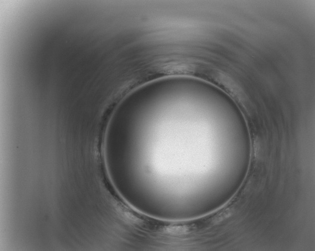 X0000072990353200607290019