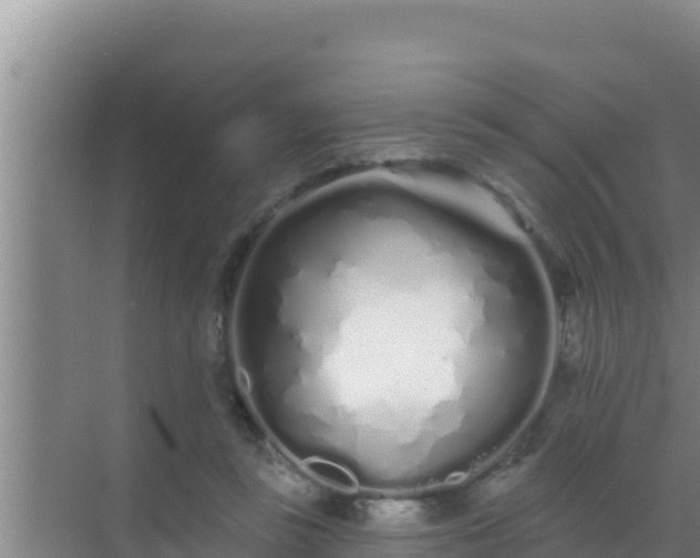 X0000072990355200607290020