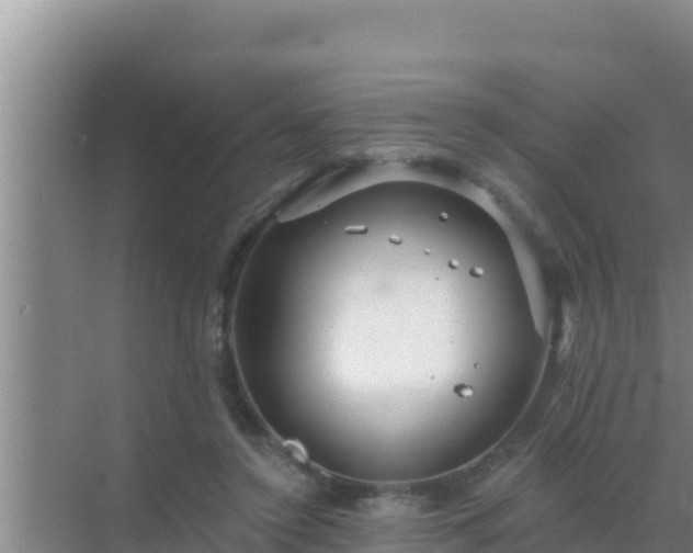 X0000072990356200607290020