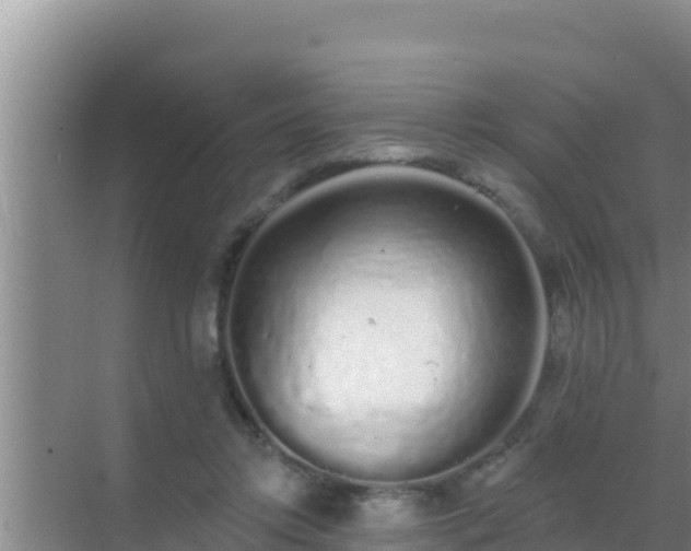 X0000072990358200607290020