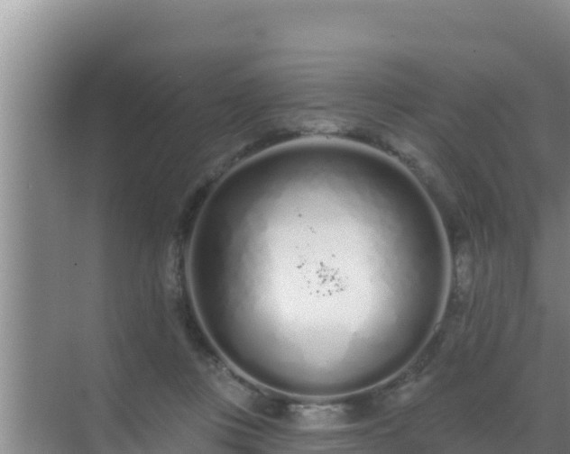 X0000072990359200607290020