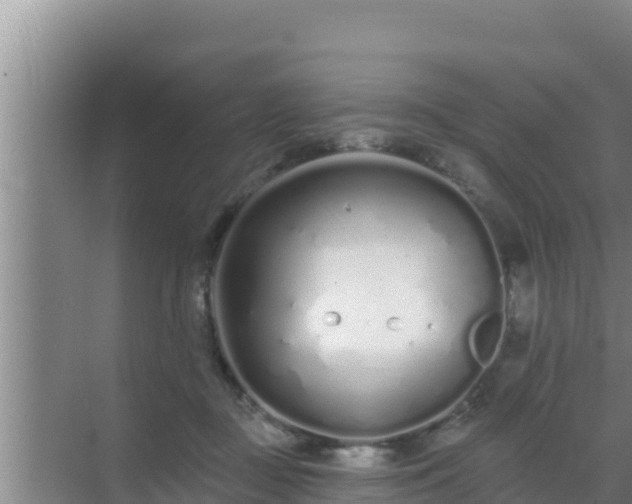 X0000072990363200607290020