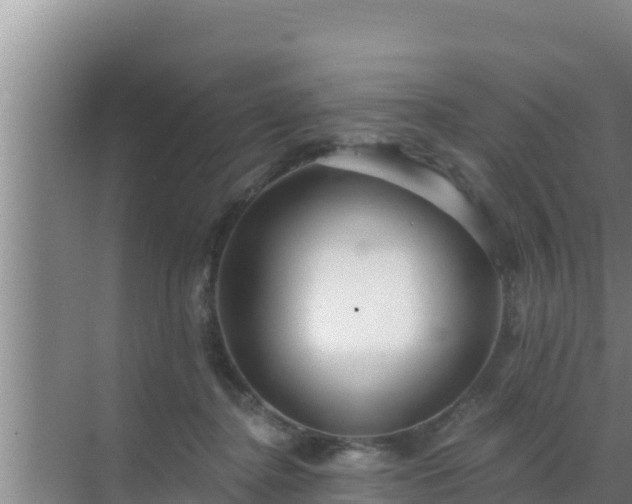 X0000072990364200607290020