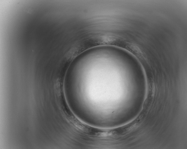 X0000072990366200607290020