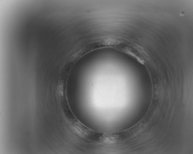 X0000072990368200607290020