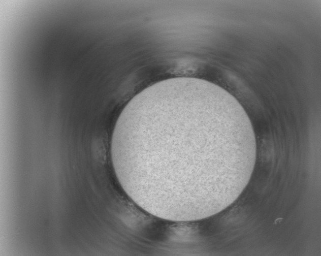 X0000072990370200607290020