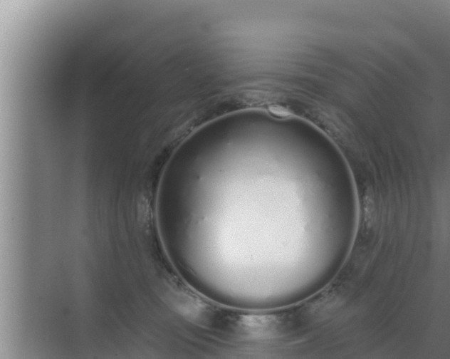 X0000072990371200607290020