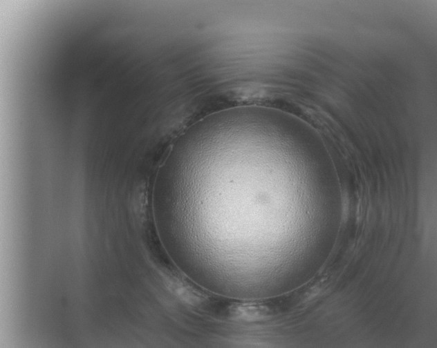 X0000072990372200607290020