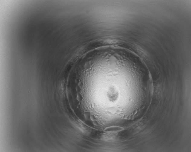 X0000072990373200607290020