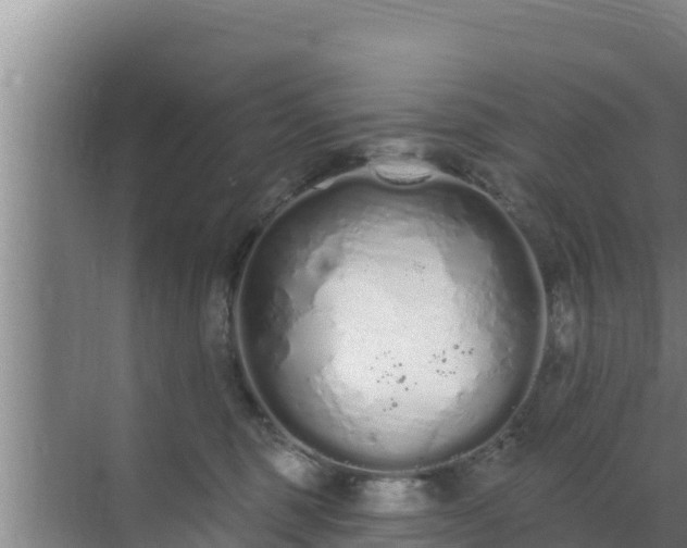 X0000072990375200607290020