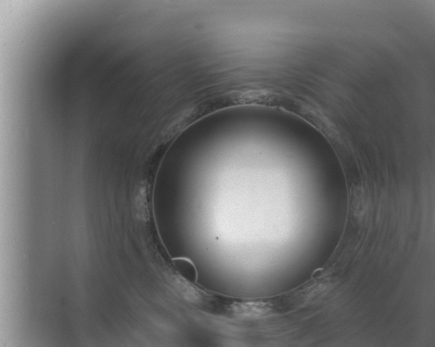 X0000072990378200607290020