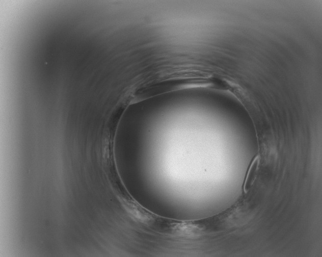 X0000072990379200607290020