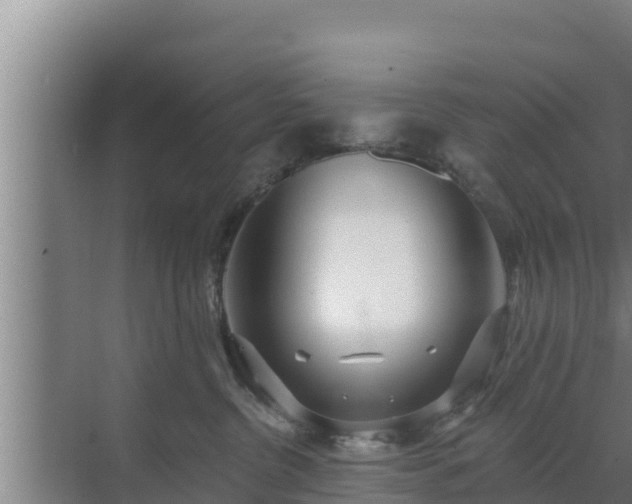 X0000072990380200607290020