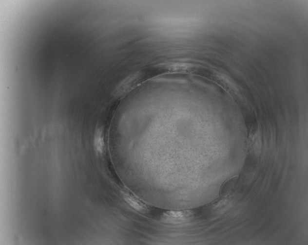 X0000072990381200607290020