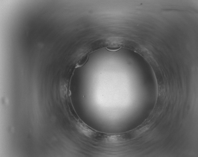 X0000072990382200607290020