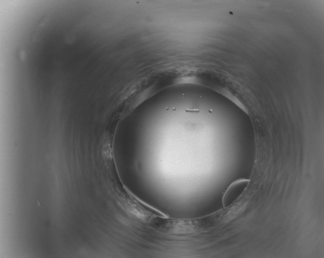 X0000072990384200607290020