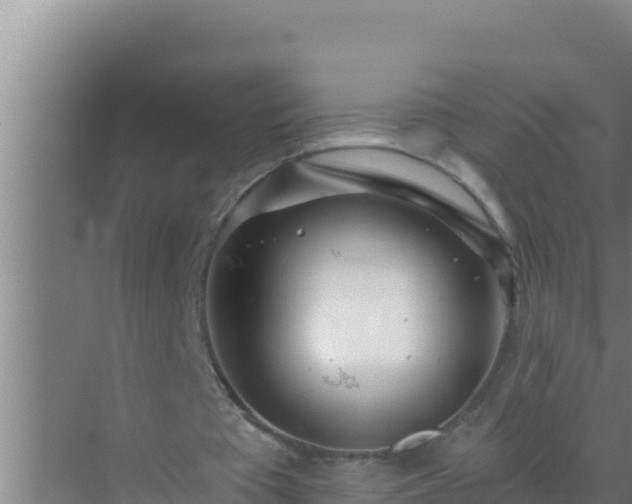 X0000072990385200607290019