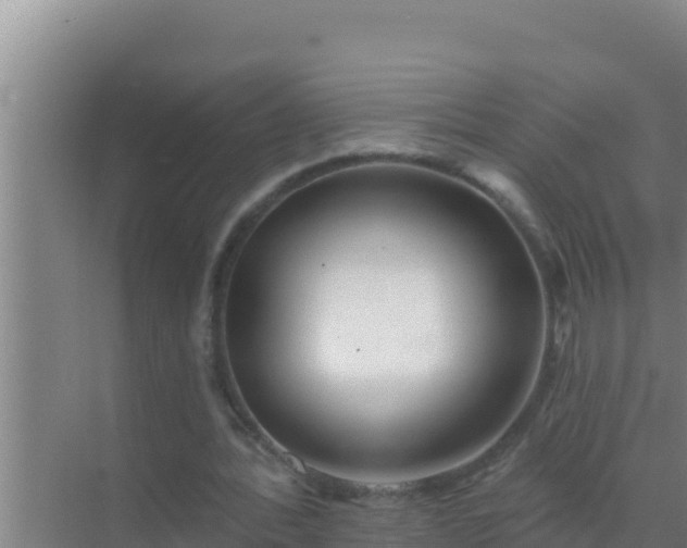 X0000072990388200607290019