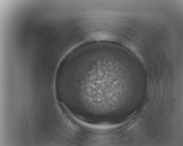 X0000072990391200607290019