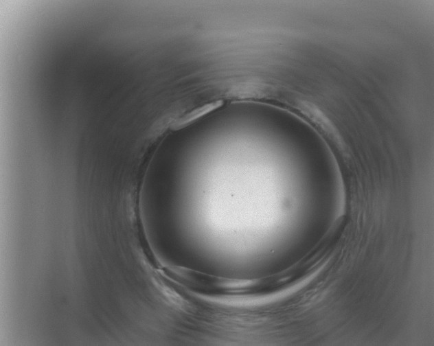 X0000072990393200607290019