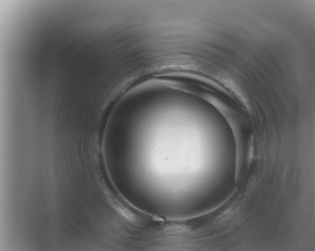 X0000072990397200607290019