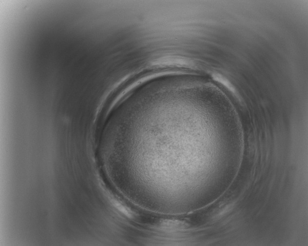 X0000072990399200607290019