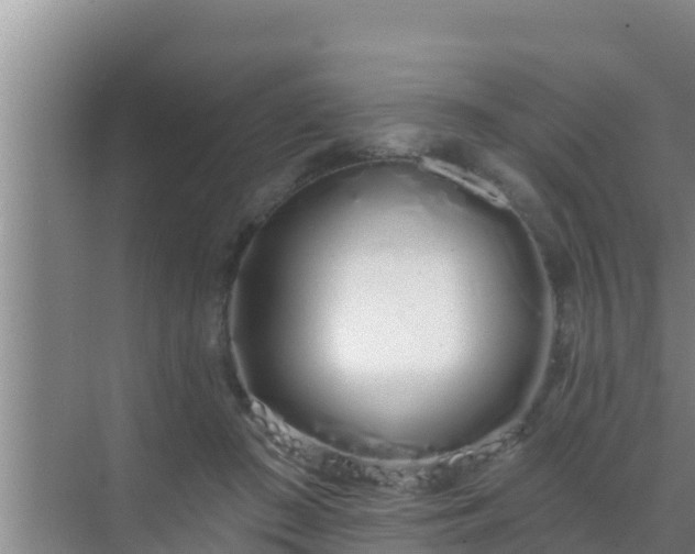 X0000072990409200607290019