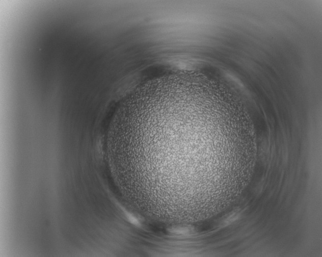 X0000072990410200607290019