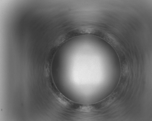 X0000072990414200607290019