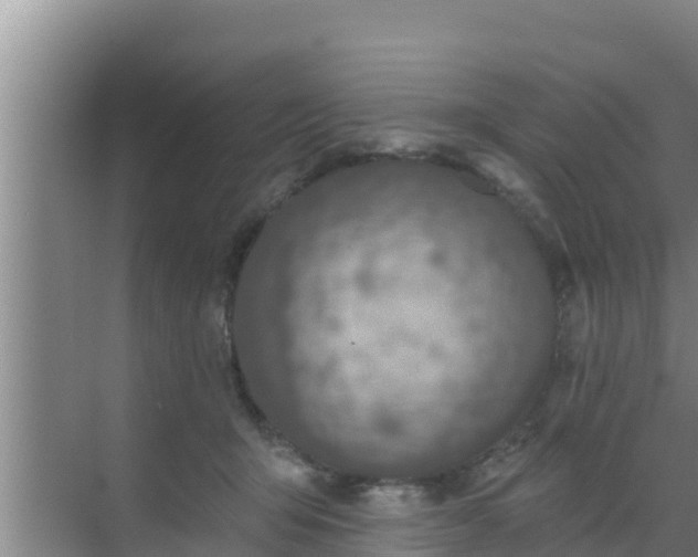 X0000072990415200607290019