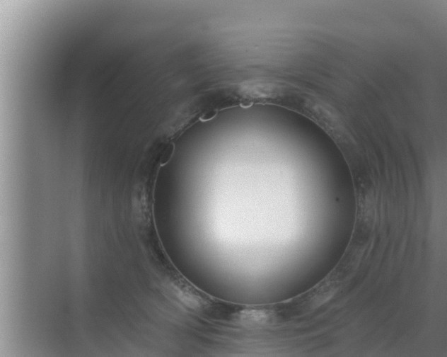 X0000072990418200607290019