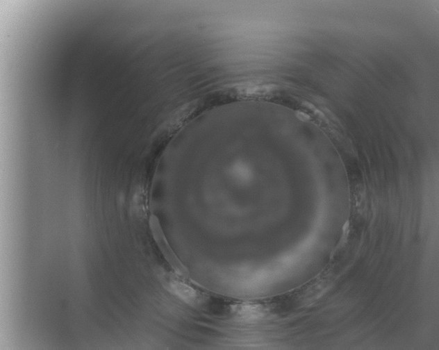 X0000072990419200607290019