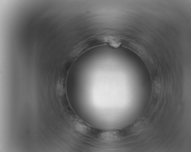 X0000072990422200607290019