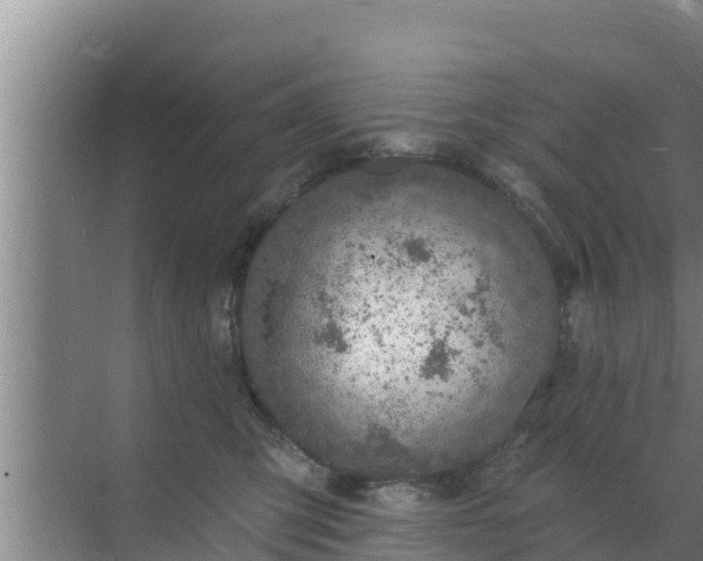 X0000072990423200607290019