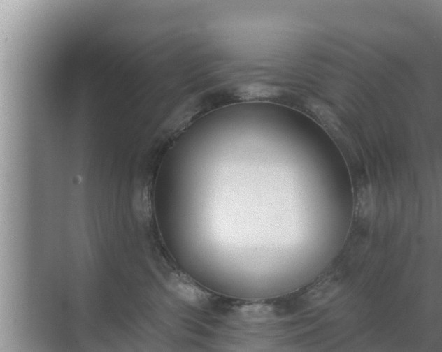 X0000072990426200607290019