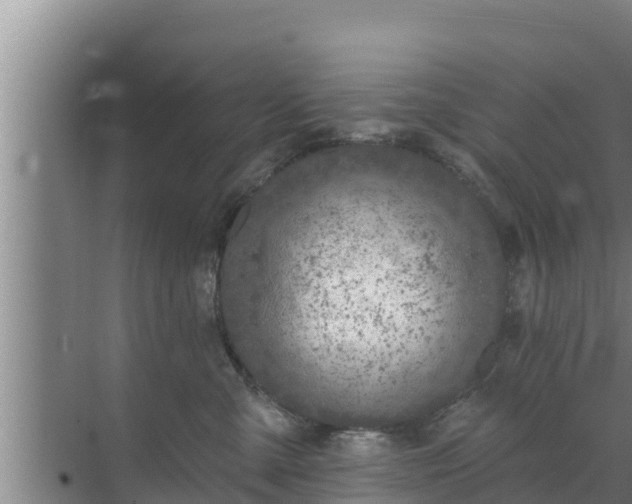 X0000072990427200607290018