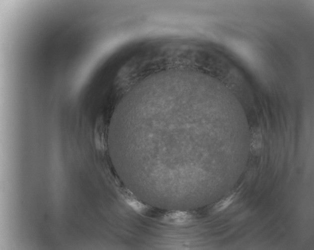 X0000072990431200607290018