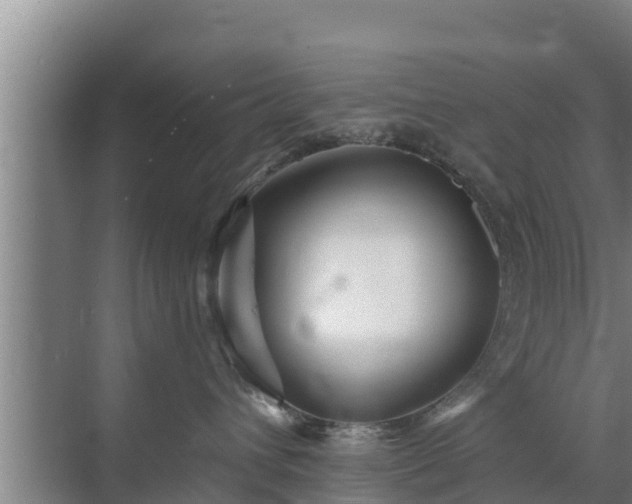 X0000072990432200607290018