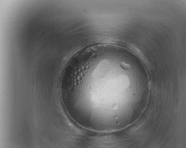 X0000072990433200607290018