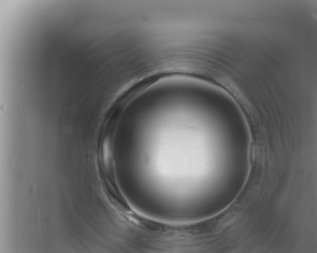 X0000072990434200607290018