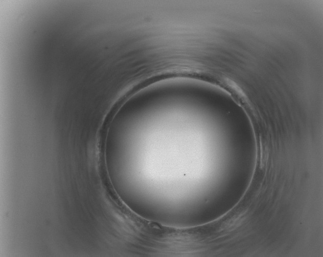 X0000072990435200607290018