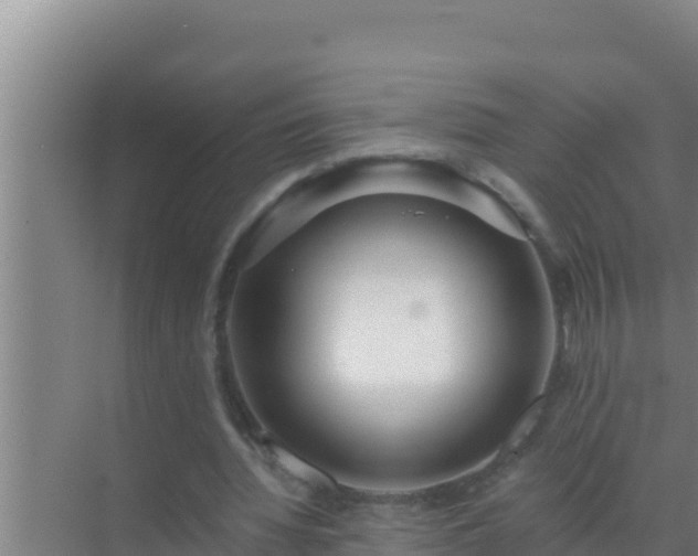 X0000072990436200607290018