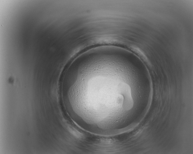 X0000072990439200607290018